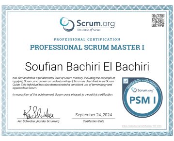 Professional Scrum Master